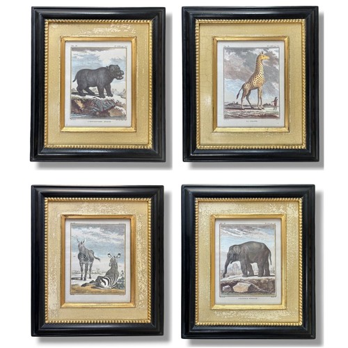 Set vintage buffon animal - set,